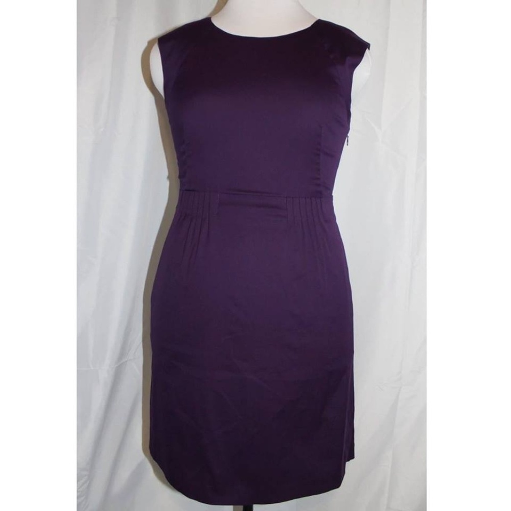 Plum Theory Shyann Dress with Pockets!